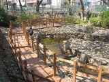 イペの歩道で公園内を散策